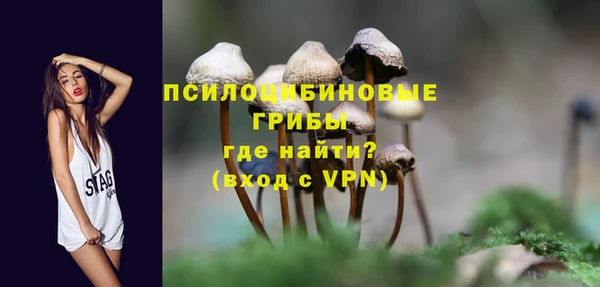 ПСИЛОЦИБИНОВЫЕ ГРИБЫ Абинск