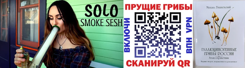 Псилоцибиновые грибы Cubensis Сусуман